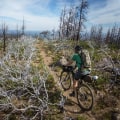 The Ultimate Guide to Long-Distance Biking in Washington County, Oregon