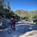 Exploring the Best Bicycling Options in Washington County, Oregon: A Cyclist's Guide