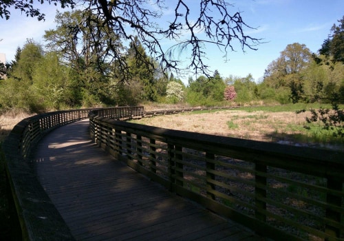 Cycling Through the Beauty of Washington County, Oregon