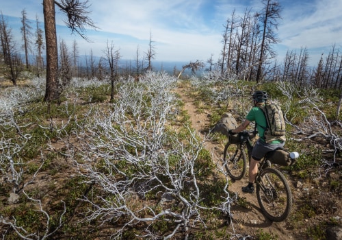 The Ultimate Guide to Long-Distance Biking in Washington County, Oregon