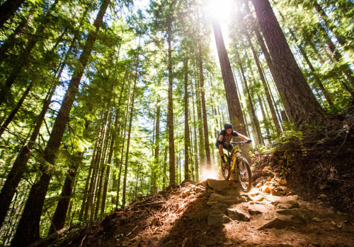 The Ultimate Guide to Biking in Washington County, Oregon
