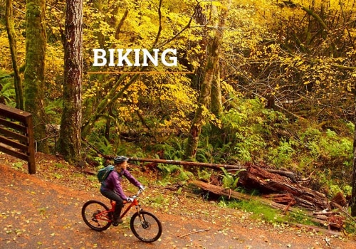 Discovering the Best Bicycling Routes in Washington County, Oregon